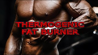 Thermogenic Fat Burner  Energy Charged [upl. by Turmel]