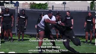 1 v 1 OL vs DL COLORADO BUFFS FOOTBALL • via Well Off Media BiggDoggChico [upl. by Cheslie]