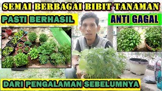 Tips Semai Berbagai Bibit Tanaman Tanpa Gagal Tumbuh Subur [upl. by Anazus707]