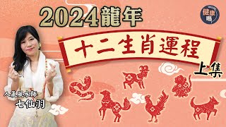 七仙羽2024龍年十二生肖運程（上）｜運氣排行榜大公開 包尾生肖必備一種心態｜蛇馬羊猴雞狗 健康事業愛情運全拆解｜健康嗎HealthCodeHK 【新年健康運】fengshui newyear [upl. by Seuqcaj]