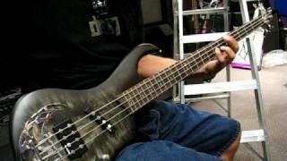 Traben Array Attack Bass [upl. by Bernetta]