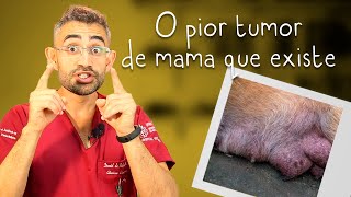 Carcinoma inflamatório canino  Casos de rotina cirúrgica da residência veterinária 5 [upl. by Ronnoc]