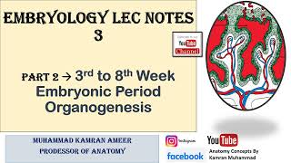 Embryology Lec Notes 3  3rd WEEK TRILAMINAR GERM DISC  3rd to 8th Week  Embryonic Period [upl. by Uranie270]