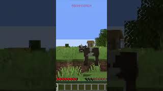 Amethyst Block minecraft viralvideo viralshorts speedrun [upl. by Ahseenat]