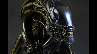 XENOMORPH Alien Warrior HOT TOYS alien xenomorph aliens hottoys [upl. by Norat]