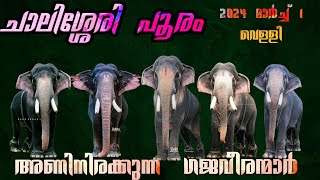 ചാലിശ്ശേരി പൂരം 2024 അണിനിരക്കുന്ന ഗജവീരന്മാർ🔥Chalissery Pooram 2024 Elephent List [upl. by Shepherd]