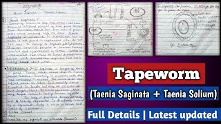 Tapeworm  Taenia Saginata  Taenia Solium   Tapeworm  Morphology Eggs Life cycle and Diagrams [upl. by Paradies]