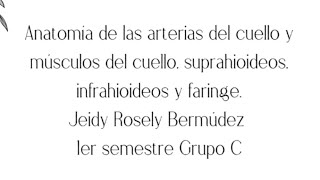 Anatomía de las arterias del cuello y músculos del muelo suprahioidesinfrahiodes y faringe [upl. by Attalie]