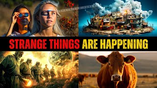 Prophetic Things Are Happening  Eclipse  Red Heifer Prophecy  Earthquakes  End Time Signs [upl. by Enaz]