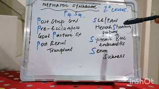 Mnemonic 47  Nephritic Syndrome [upl. by Nylirek]