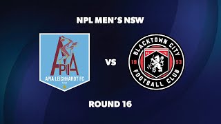 NPL Men’s NSW Round 16 APIA Leichhardt FC v Blacktown City FC [upl. by Anitsyrc]