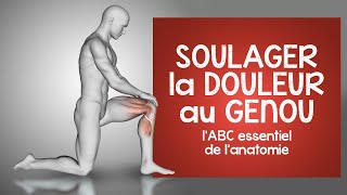 Soulager la douleur au genou l ABC essentiel de lanatomie [upl. by Berkman]