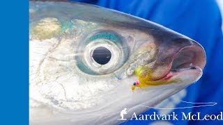 How To Catch A Milkfish on Fly [upl. by Arbuckle]