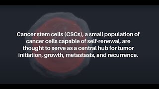 Therapeutically Harnessing Cancer Stem CellDerived Exosomes  Oncotarget [upl. by Caralie]