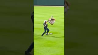 Craziest Fan Invasion Moments in MLB [upl. by Ymorej713]