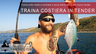 Traina costiera in tender  Occhiate e Lecce in diretta [upl. by Friederike]