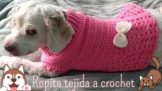 VESTIDO PARA PERRITA O GATITA TEJIDO A CROCHET 2 [upl. by Aguayo]