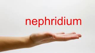 How to Pronounce nephridium  American English [upl. by Surovy]