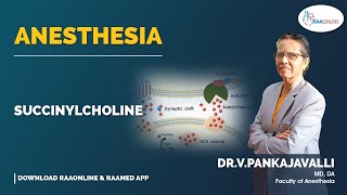 Anesthesia  Succinylcholine  Raaonline anesthesia anesthesiology anesthesiologist [upl. by Kendrick]