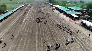 Beautiful View Of Sultan Neza Bazi Tournament  Beautiful Horses  Sultani Awan Club [upl. by Alekehs]