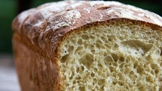 How to make NoKnead Bread in less than two hours [upl. by Siddon900]