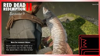 Red Dead Redemption 2 Survivalist 9 [upl. by Varion]