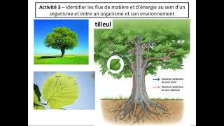 Tout savoir sur la cellule en 6 minutes [upl. by Nahtanoj]