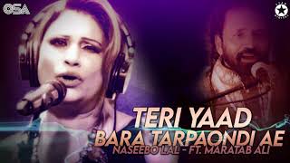 Teri Meri  sped up  lyrics [upl. by Laurin]