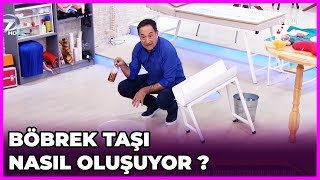 Böbrek Taşı Nasıl Oluşur  Feridun Kunak Show  5 Mart 2019 [upl. by Tiat]