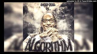 Snoop Dogg  Fire Algorithm [upl. by Rebmyk]