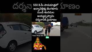 550 km కాలినడకన వెళ్తున్న కన్నె సాములు like1k trendingviralvideo facts ayyappa shortvideo [upl. by Amuwkuhc]