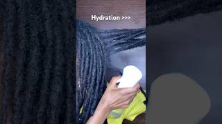 Reactivating my Locs 🌱✨ Water Oil Brushing 💚 abbywiththelocs locshydration [upl. by Ozkum644]