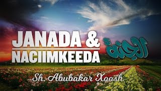 JANADA IYO NIMCIIMKEEDA  SH ABUBAKAR XOOSH [upl. by Anoyet]