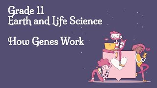 How Genes Work [upl. by Nerra]