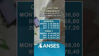 Anses aumentará un 347 la Asignación por Embarazo en noviembre de 2024 anses [upl. by Enohpesrep]