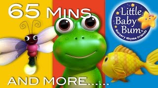 Five Little Speckled Frogs  Little Baby Bum  Nursery Rhymes for Babies  Baby Song Compilation [upl. by Ledua]