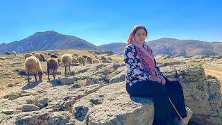 IRAN nomadic life  daily routine village life of Iran  Nomadic lifestyle of Iran [upl. by Nove]