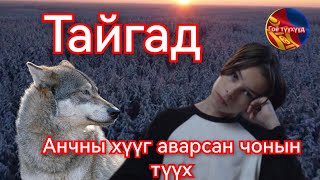 Хавханд орсон хүүг аварсан чонын түүх Гоё Түүхүүд Goy tuuhuud mongol heleer kino duu barimtat [upl. by Sherie932]