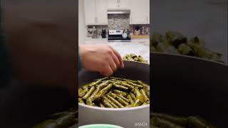 The Art of Stuffed Grape Leaves [upl. by Michon]