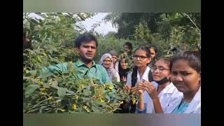 Sindhu Junior College for Girls conducted BOTANICAL FIELD VISIT  quot SINDHUS CARPELSquoton 2nd Nov 2024 [upl. by Tacye]