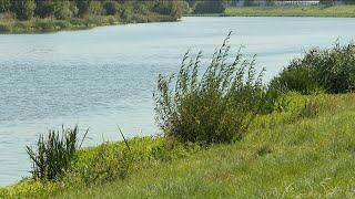 Najnowsza broń w walce ze złotą algą W rzece Kłodnicy sprawdzono działanie perhydrolu [upl. by Kunin]