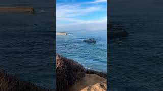 Beautiful Beach la Jolla cove San Diego [upl. by Philine]