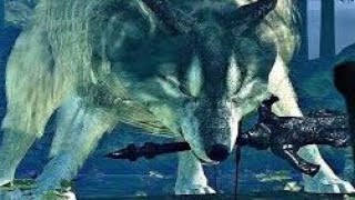 Great Grey Wolf Sif LVL 4  hitless  melee only [upl. by Benedict]