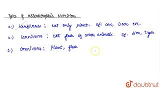 HETEROTROPHIC NUTRITION IN ANIMALS [upl. by Roshan]