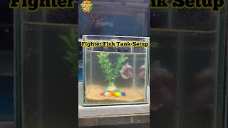 betta fish tank setup in tamil 🐠 shorts fish bettafish 90snayagan [upl. by Ariek]