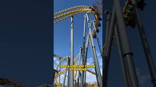 Take Flight on BATWING 🦇 at Six Flags America 🇺🇸 rollercoaster amusementpark themepark [upl. by Virgin]