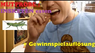 INSEKTEN ESSEN MUTPROBE  GEWINNSPIEL Auflösung [upl. by Forelli]