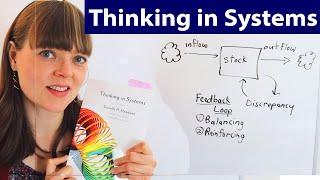 Thinking in Systems Key Ideas Ch 1 [upl. by Manouch634]