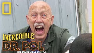 The Incredible Dr Pol  Teaser Trailer  The Incredible Dr Pol [upl. by Iddet65]