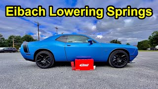 Eibach Sportline Lowering Springs  Challenger RT InstallReview [upl. by Radbun]